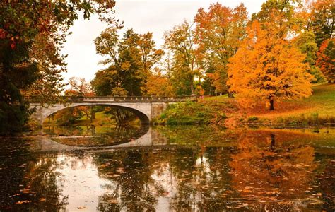 hotels near hyde park ny with complimentary breakfast|𝗧𝗛𝗘 𝟭𝟬 𝗕𝗘𝗦𝗧 Hotels in Hyde Park, NY.